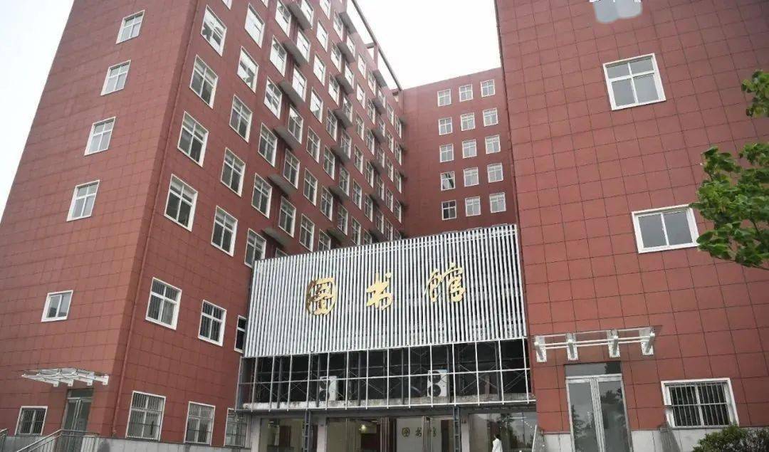 焉耆回族自治县康复事业单位招聘新动态及其社会影响分析