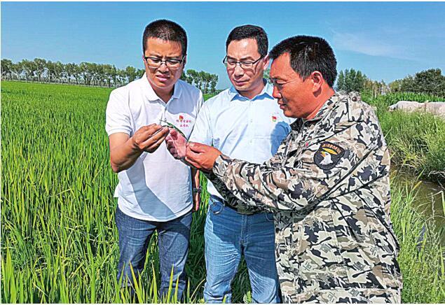 清流县财政局发展规划，构建可持续财政体系，助力县域经济高质量发展新篇章