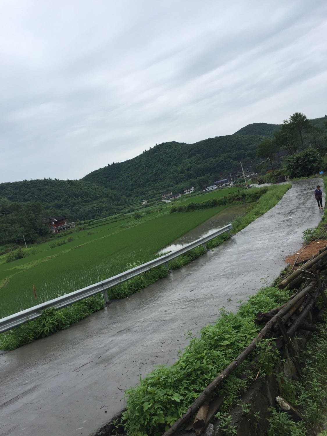 和坪溪乡天气预报更新通知