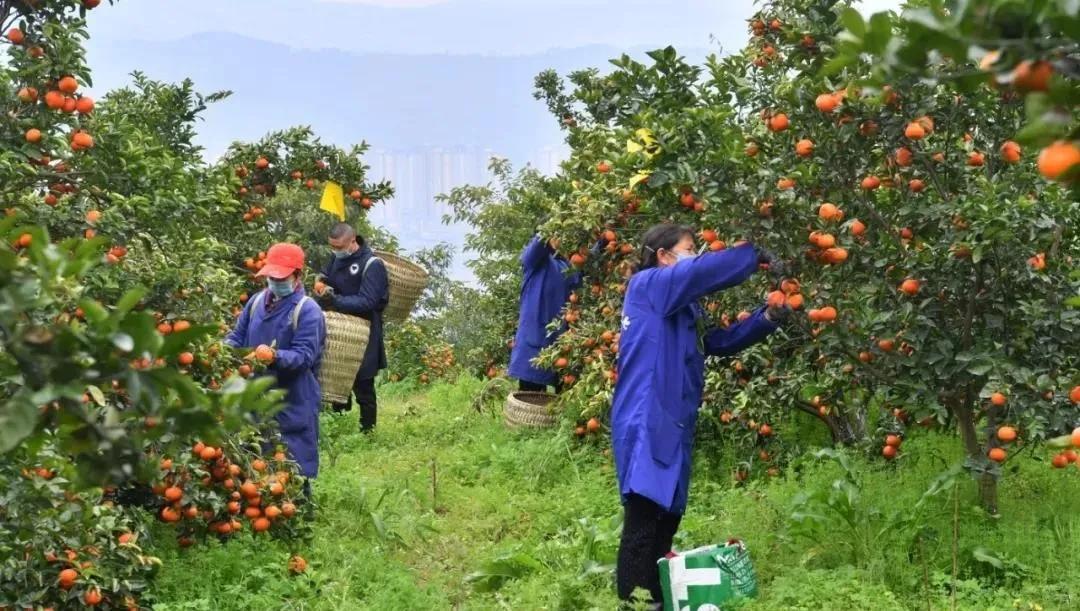 开县防疫检疫站招聘信息发布与职业前景探讨