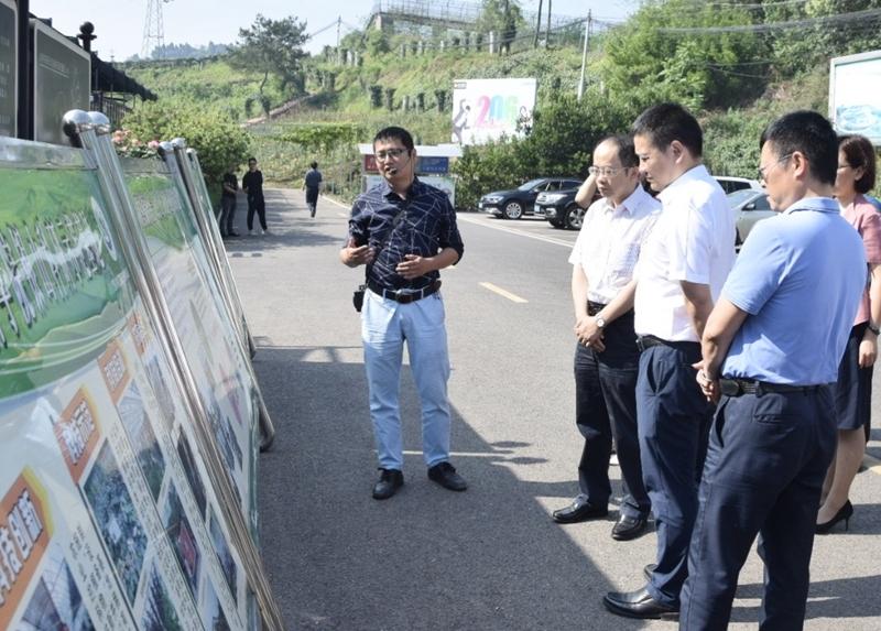 永川区住房和城乡建设局最新发展规划