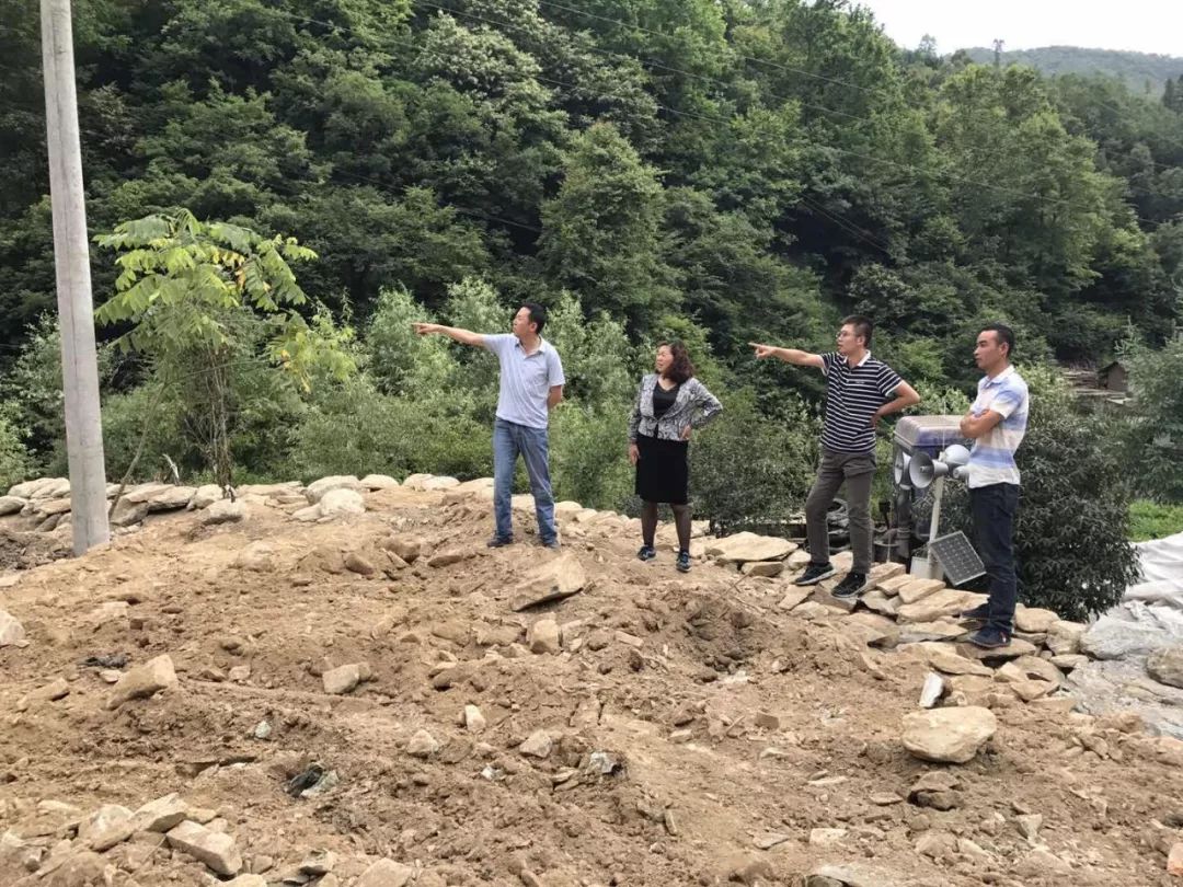 地寺坪村委会启动新项目，振兴乡村共筑美好未来