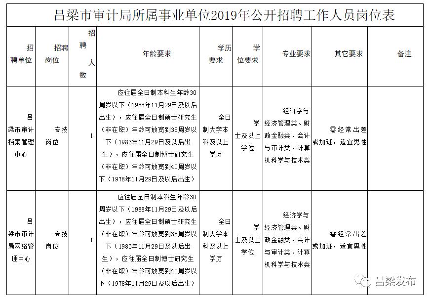 荆门市审计局最新招聘启事概览