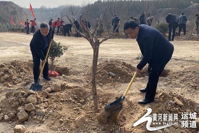 山西省运城市芮城县古魏镇最新项目，繁荣蓝图与未来展望