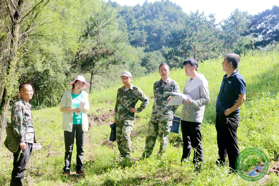 南梁林场最新新闻动态