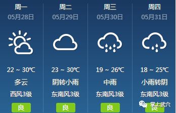 上兴镇最新天气预报