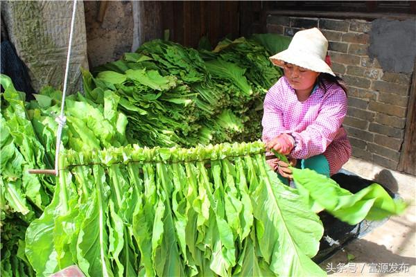 连山壮族瑶族自治县文化广电体育和旅游局最新招聘启事概览