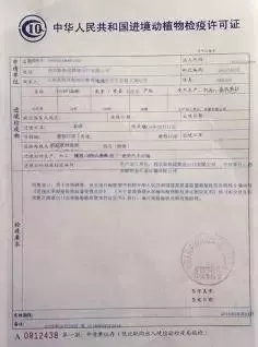 潞西市防疫检疫站人事调整，构建更坚实的防疫队伍