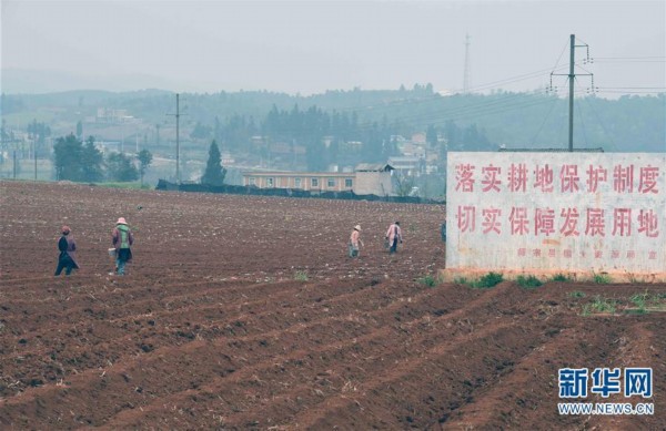 龙庆彝族壮族乡秀山街道办事处的最新发展规划展望