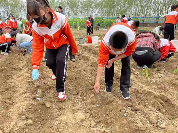 苏家屯区初中未来教育蓝图，最新发展规划揭秘