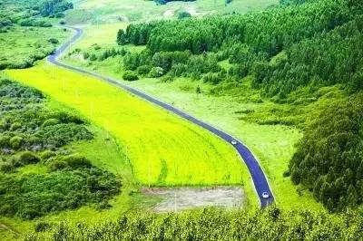 大岱林场天气预报更新