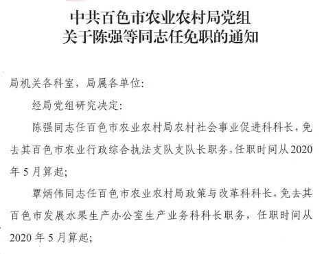 百色市科学技术局人事任命新阵容出炉，推动科技创新与发展迈向新高度