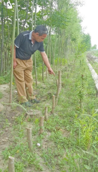 柳树经营所最新交通动态报道