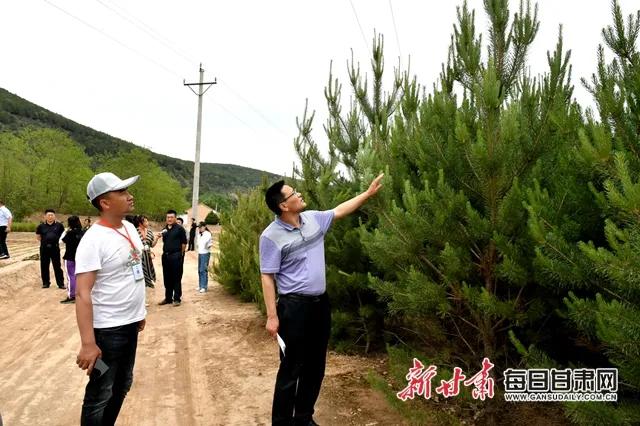 大凤川林场最新新闻发布