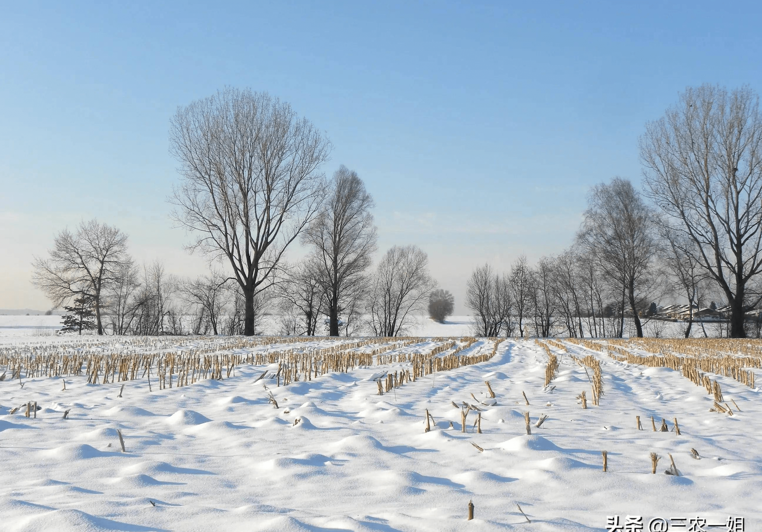 雪瓦卡村最新天气预报