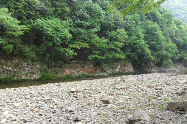 汀溪防护林场天气预报更新