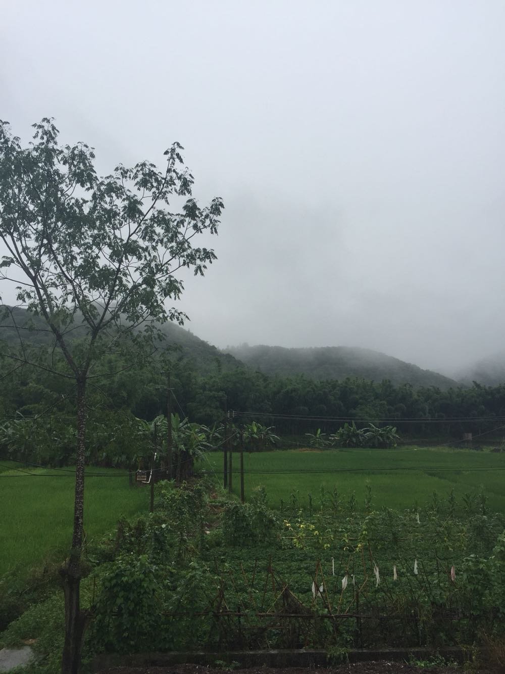 格地村天气预报更新通知